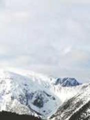 The Best Little Body