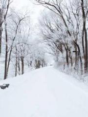 Rong Shao Nan Ning Y