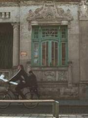 Fu Zi Mo Qin Luo Yan