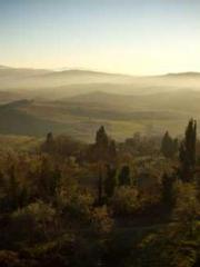 The Apothecaryapos;s