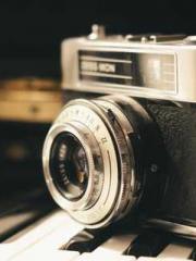 The Little Fox Spiri