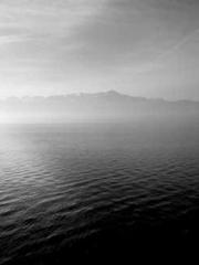 The wife wishes to b