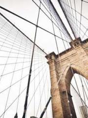 One Pregnancy, Two B