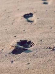 King of Nine Profoun