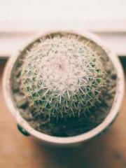 lt;lt;Know Green, Do