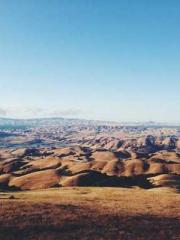 lt;Gingerly, Shen Qi