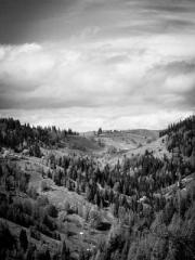 Cultivating My Empre