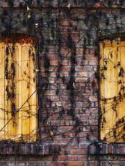 Lǐnfēng Lín yún yu y