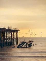 Transmigrated to the