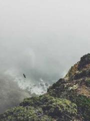 The Stand-in Wife Wa