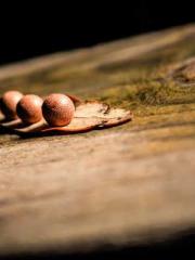 Do not deprive me of