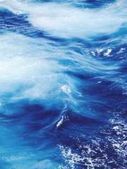 Dangerously Close to