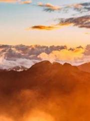 The Apothecaryapos;s