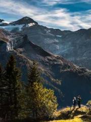 The young masterapos