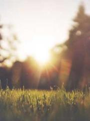 Retired War God Yang