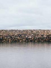 Super Dimensional Me