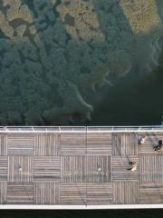 The Undefeated Son-i