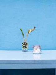 Grave Robbing: Openi