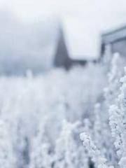 Double Blessing: CEO