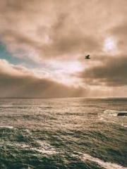 lt;Nineth Uncle, you