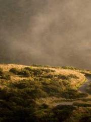 The Daring Wife of a