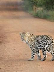 Grandpa Fuapos;s Ful