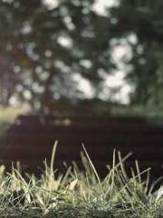 Rong Shao Nan Ning Y