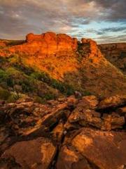 The Realm of the Dao