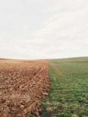 lt;Mr. Bao, Mrs. Bao