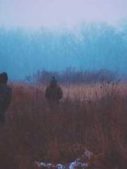 The Hardships of a D