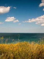 My stunning aunt lt;