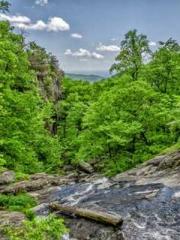 Dangerously Close to