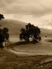 lt;lt; The Divine Do