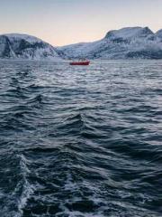 Cultivating My Empre