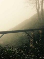 The Hardships of a D