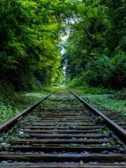 Li Qingqing and Zhao