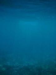 Bones-Eating Marriag