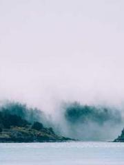 The Rebirth of a Phy