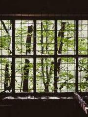 Shen Ning Ran Bao Ji