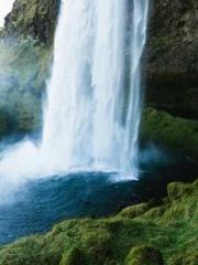 Shen Ning, Ran, Bo J