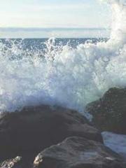 The Imperial Concubi