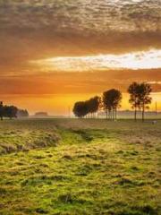 The Undefeated Son-i