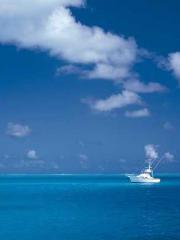 lt;lt;The Heavenly D