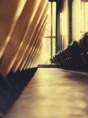 One Night Marriage P