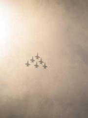 The Daring Wife of a