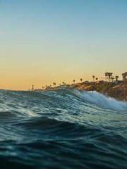 The Hardships of a D