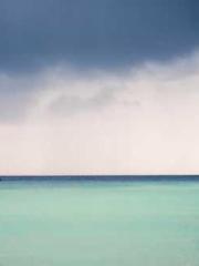 Super husband Lin Xi