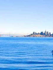 Bones-Eating Marriag