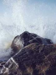 Rebirth of the Urban