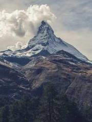 Transmigration: Feel